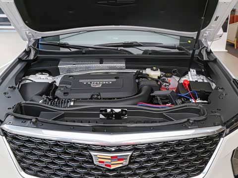 2026�� 28T ������