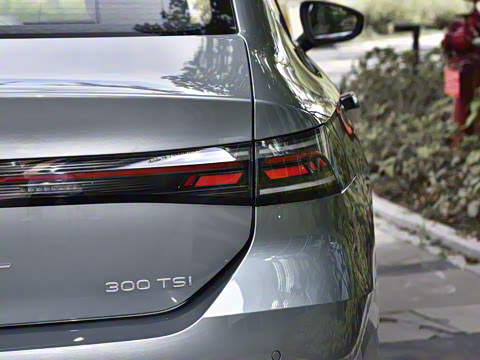 2026�� L 300TSI DSG ������