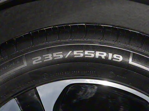 2025�� ���� Max