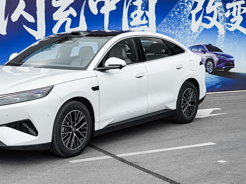 2026�� DM-i 320KM��Խ��
