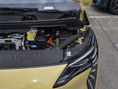 2025�� Plus 510 ������