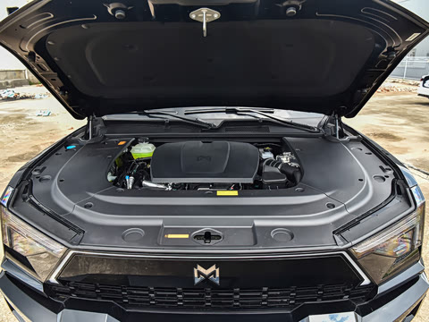 2026�� Max+