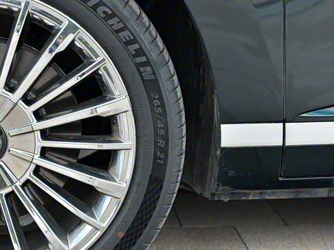 2025�� �Ŀ� 350 Max���������״��