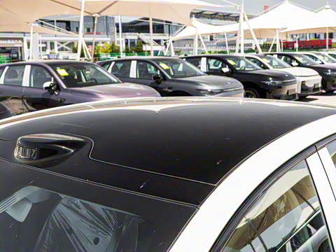 2025�� 550�����״��