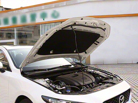 2025�� 2.0L �Զ����Ű�