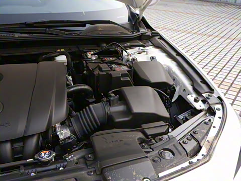 2025�� 2.0L �Զ����Ű�