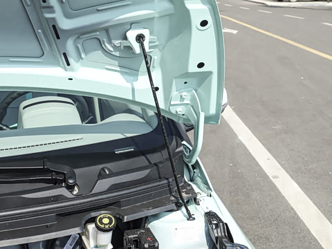 2026�� PLUS ������