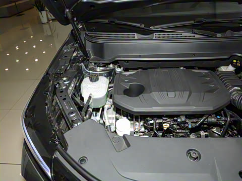 2025�� 1.5T �Զ������� 7��