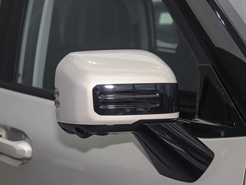 2025�� 2.0TD XWD��Խ