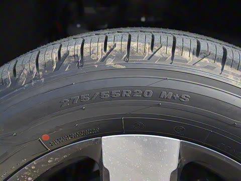 2025�� Ԫ�����а�