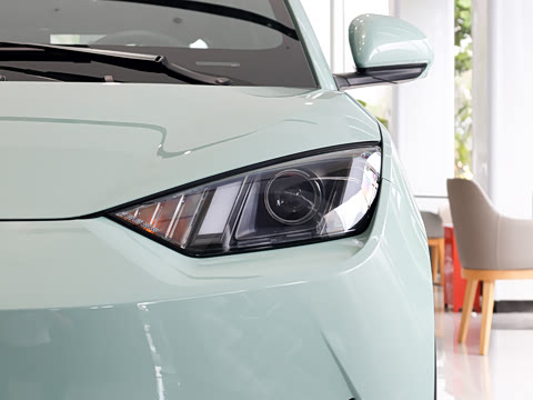 2026�� 305km ������