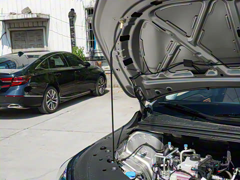 2026�� ������