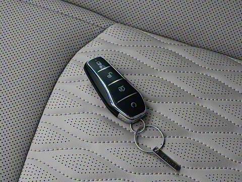 2025�� DM-i �Ǽݰ� 245KM�����״��콢��