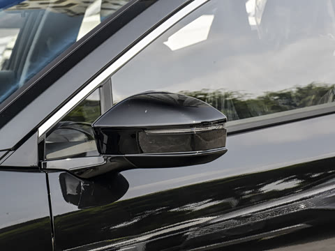 2026�� ������ JOY