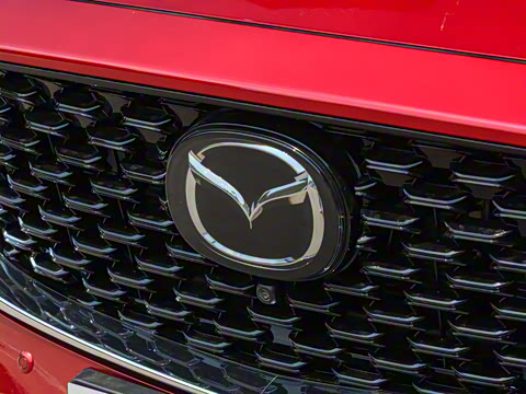 2025�� 2.0L �Զ���������Pro