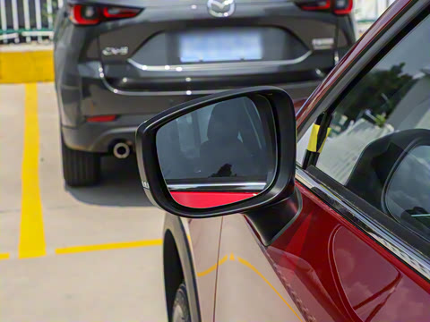 2025�� 2.0L �Զ���������Pro