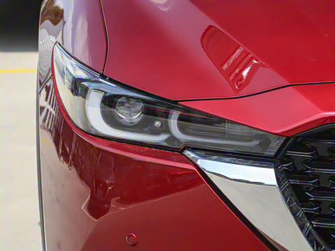 2025�� 2.0L �Զ���������Pro