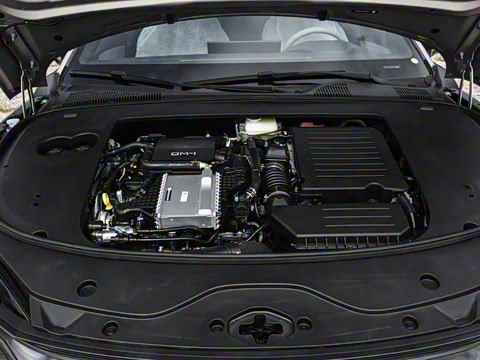 2025�� DM-i �Ǽݰ� 245KM�����