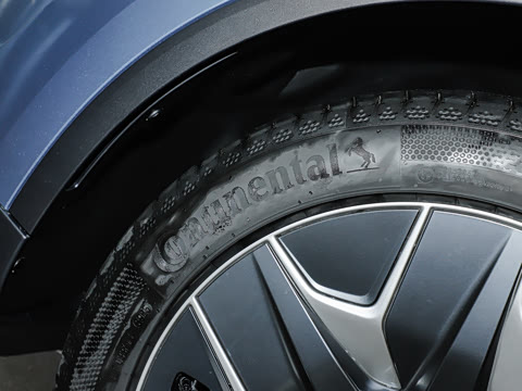 2025�� ������ȫ��������