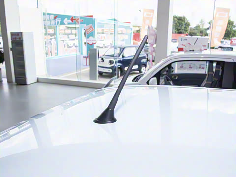 2026�� 222km ������