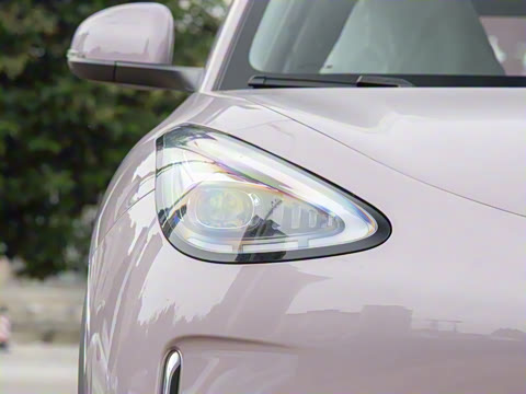 2026�� 310km �����