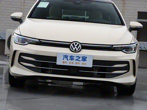 2025�� �Ŀ� 300TSI Pro