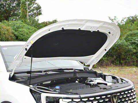 2026�� ���Ĵ� ������ 1.5T ���������