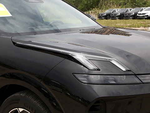 2026�� 230��������Max