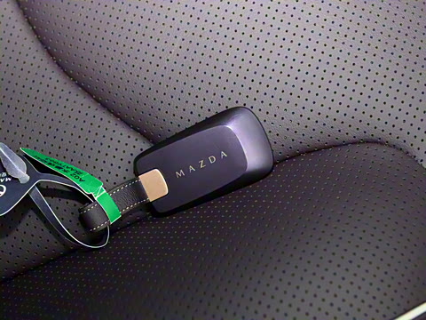 2025�� ����600 Max