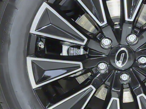 2025�� 205km Pro+�����״��