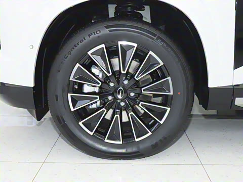 2025�� 205km Pro+�����״��