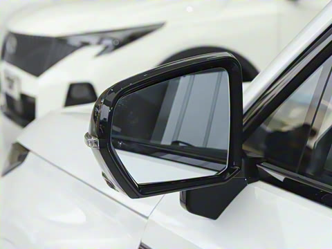 2025�� 205km Pro+�����״��