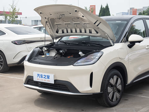 2025�� 325km ������