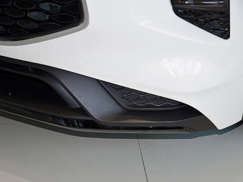 2026�� 2.0T EcoBoost E �춯 �˶���