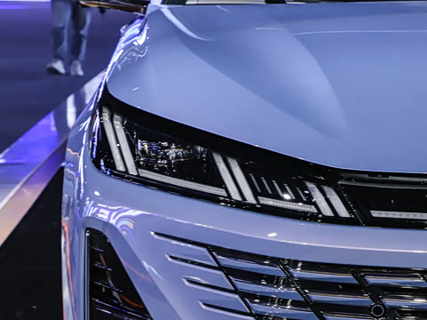 2026�� 1.5L ��϶���