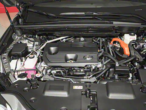 2025�� 350h JOY X