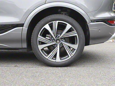 2026�� ����������