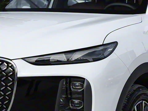 2026�� ����� ���� ����1.6T �Զ��콢��