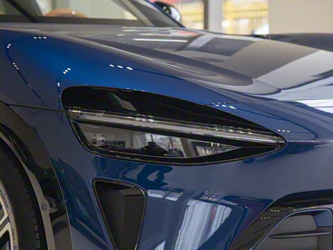 2025�� ������������Pro��