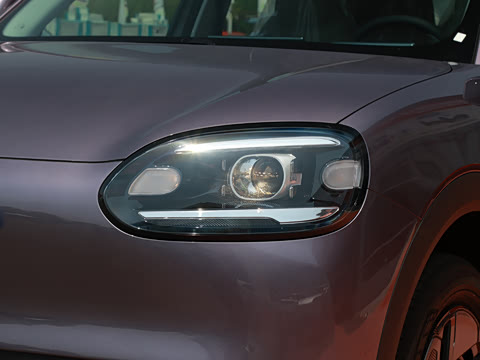 2026�� 310�Ȱ���