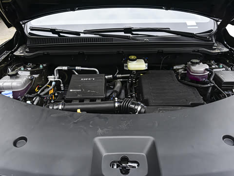 2026�� DM-i 220KM��Խ��