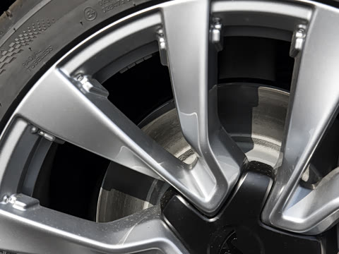 2025�� �Ŀ� ����������������