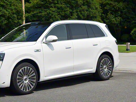 2025�� ���� Max+ ������������ 