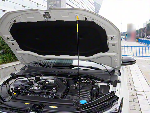 2026�� Pro 300TSI �ǿ��������