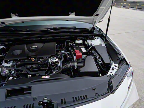 2026�� 2.0GVP ������