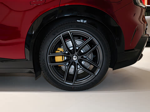 2025�� Max��