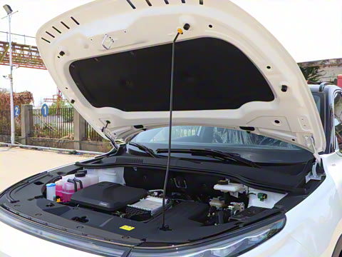 2025�� 150km ��ѡ��