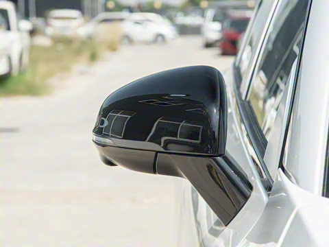 2025�� 550������