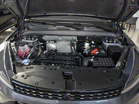 2025�� 1.5L �ֶ���Խ��