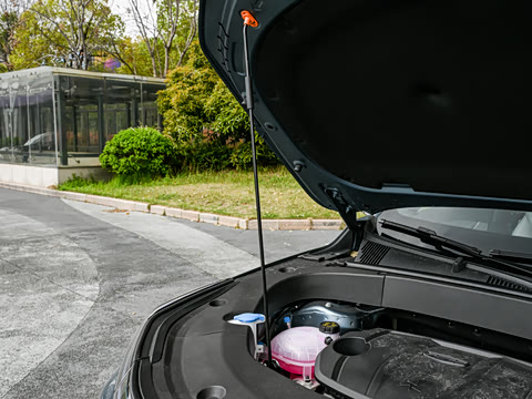 2026�� ���Ĵ� 1.5TD DCT С���ư�